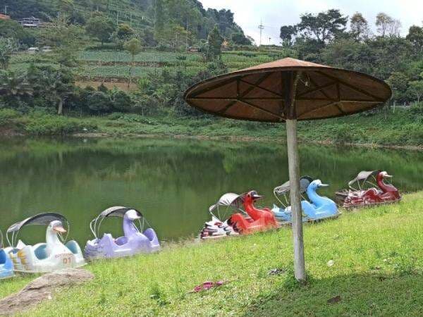 Ngeri Lur! Pacaran di Telaga Wahyu Magetan Mitosnya Bisa Langsung Putus, Berani Coba? Ngeri Lur! Pacaran di Telaga Wahyu Magetan Mitosnya Bisa Langsung Putus, Berani Coba?