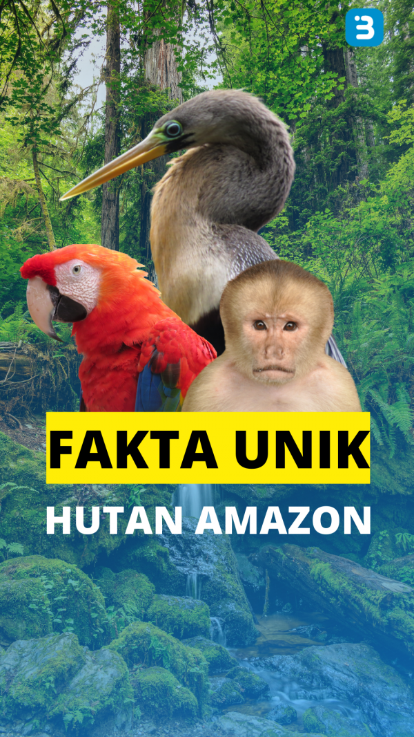 Fakta Unik Hutan Amazon
