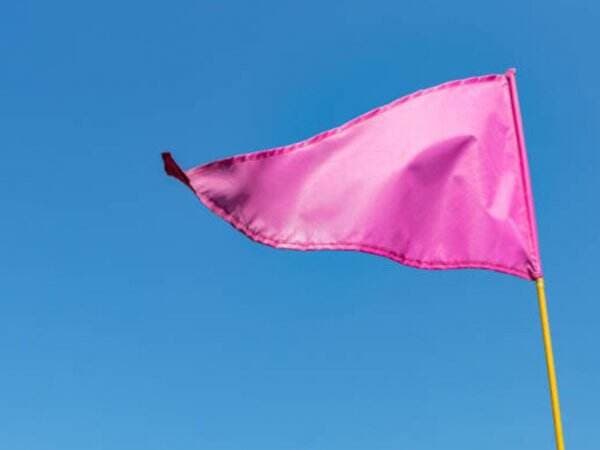 Selain Red atau Green Flag, Kenali juga Pink Flag dalam Sebuah Hubungan!