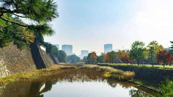 Jogging Di Jepang? Rute Paling Indah di Tokyo Ini Bisa Jadi Pilihan Jogging Di Jepang? Rute Paling Indah di Tokyo Ini Bisa Jadi Pilihan