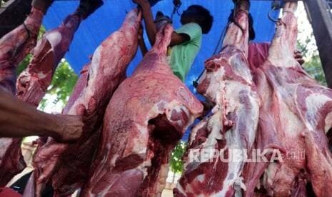 Bulog Sulteng Tambah 14 Ton Daging Kerbau Beku untuk Idul Adha