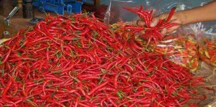 Harga Cabai-cabaian Masih Mahal, Omset Pedagang Anjlok 50 Persen Harga Cabai-cabaian Masih Mahal, Omset Pedagang Anjlok 50 Persen