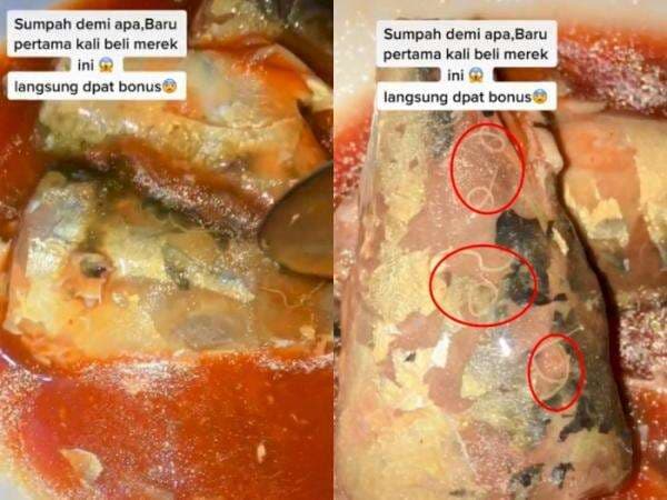 Waduh! Wanita Ini Temukan Cacing di Dalam Ikan Kaleng, Langsung Dapat Bonus Waduh! Wanita Ini Temukan Cacing di Dalam Ikan Kaleng, Langsung Dapat Bonus