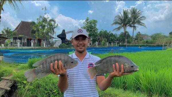 Sedih Kena PHK, Rifqi Abdul Kini Sukses Budidaya Ikan Nila