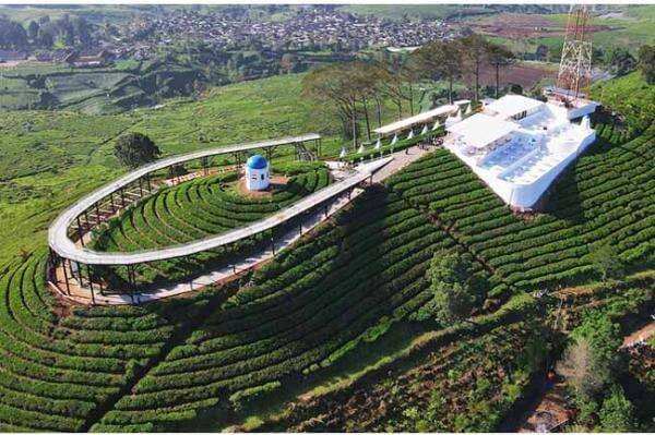 Menikmati Panorama Kebun Teh dari Jembatan Angkasa Pangalengan Menikmati Panorama Kebun Teh dari Jembatan Angkasa Pangalengan