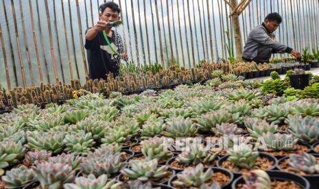 Pemkab Bogor: Program Petani Milenial Cetak Agropreneur Muda dan Andal