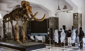 Menguak Cara Dinosaurus Bereproduksi, Apakah Tyrex Memiliki Penis? Menguak Cara Dinosaurus Bereproduksi, Apakah Tyrex Memiliki Penis?