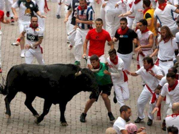 Melihat Festival Lomba Lari Banteng, Tradisi di Spanyol yang Bisa Hilangkan Nyawa Melihat Festival Lomba Lari Banteng, Tradisi di Spanyol yang Bisa Hilangkan Nyawa
