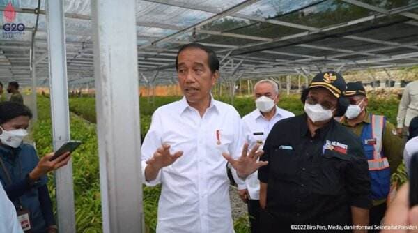 Tingkat Kepuasan Publik Terhadap Jokowi Tembus 80 Persen