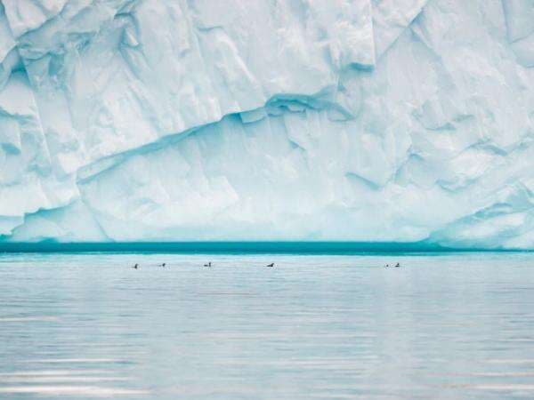 Iceberg, Gunung Es yang Ditabrak Kapal Titanic, Apa Itu? Iceberg, Gunung Es yang Ditabrak Kapal Titanic, Apa Itu?