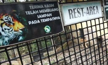 Taman Satwa Cikembulan Garut: Daya Tarik, Lokasi Rute, Harga Tiket dan Fasilitas Taman Satwa Cikembulan Garut: Daya Tarik, Lokasi Rute, Harga Tiket dan Fasilitas