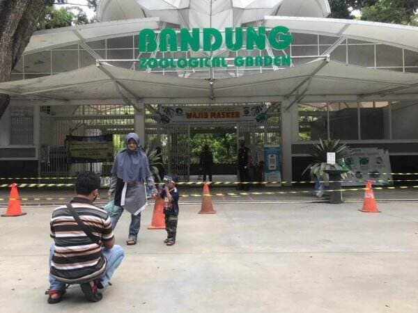 Gara-gara Perwal, Pengunjung Kebun Binatang Bandung Turun 30 Persen
