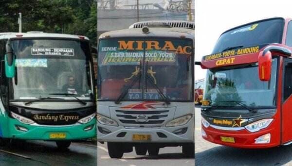 Alasan PO Bus Ganti Nama, Ubah Manajemen hingga Buang Sial Sering Kecelakaan
