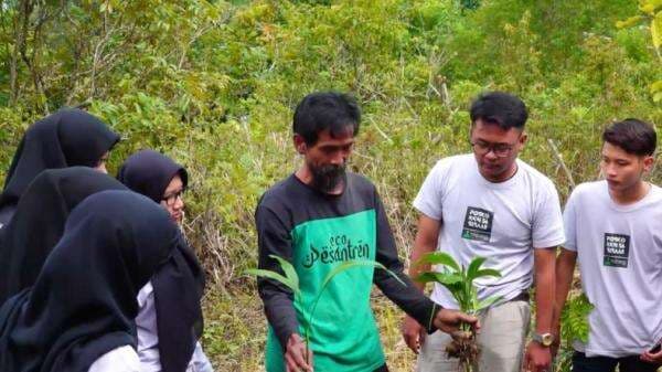 Pernah Dianggap Gila Tanam Pohon Pinang di Hutan, Pria di Lumajang Kini Dapat Kalpataru Pernah Dianggap Gila Tanam Pohon Pinang di Hutan, Pria di Lumajang Kini Dapat Kalpataru
