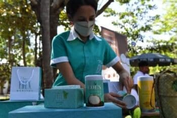 Kelor Sang `Mutiara Hijau` Asli NTT yang Mendunia Lewat Sherpa G20 Kelor Sang `Mutiara Hijau` Asli NTT yang Mendunia Lewat Sherpa G20