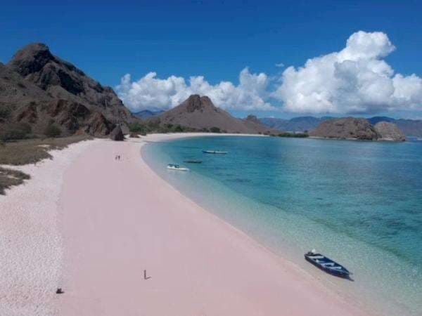 Kue Gambus dan Kopi Tuk Bikin Terkesan Delegasi G20 Saat Kunjungi Labuhan Bajo, NTT Kue Gambus dan Kopi Tuk Bikin Terkesan Delegasi G20 Saat Kunjungi Labuhan Bajo, NTT