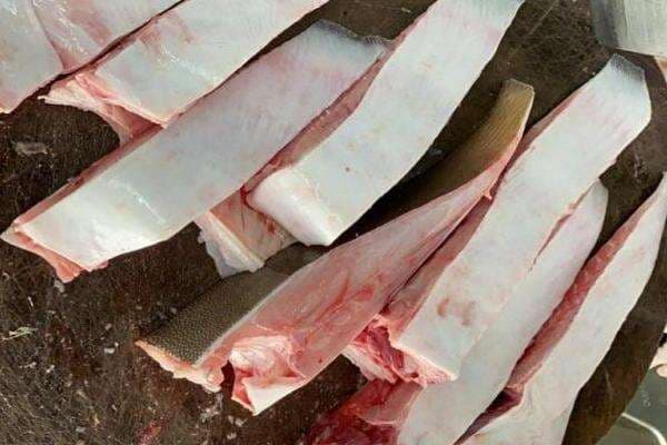 4 Manfaat Mengonsumsi Ikan Pari Bagi Kesehatan, Luar Biasa 4 Manfaat Mengonsumsi Ikan Pari Bagi Kesehatan, Luar Biasa