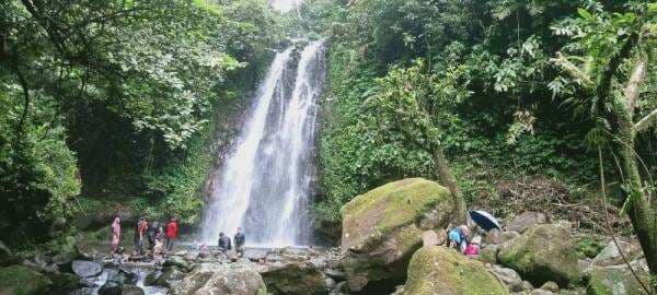 Kemping Bukit Kabayan dan Merkusi Bogor, di Tengah Kebun Kopi dan Pesona Curug Ciampea Kemping Bukit Kabayan dan Merkusi Bogor, di Tengah Kebun Kopi dan Pesona Curug Ciampea