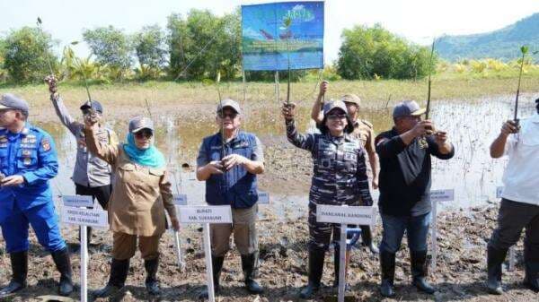 TNI AL Tanam Mangrove dan Sebar Ikan di Ciwaru, Wabup Iyos: Ekosistem Makin Beragam