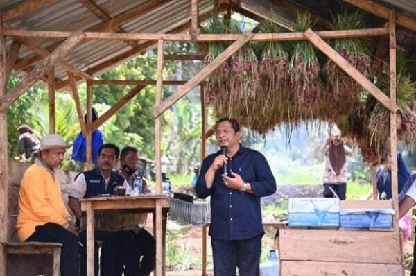 Kota Padang Sidempuan Siap Jadi Sentra Produksi Bawang Merah