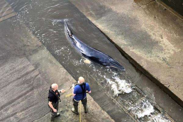 Menilik 5 Sungai Terbersih di Dunia, dan Keunikannya Menilik 5 Sungai Terbersih di Dunia, dan Keunikannya