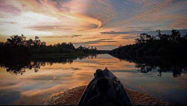 Taman Nasional di Kalimantan Tengah, Tempat Terbaik untuk Eksplorasi Alam Taman Nasional di Kalimantan Tengah, Tempat Terbaik untuk Eksplorasi Alam