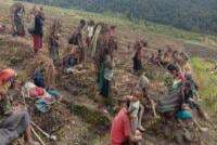 Lanny Jaya Papua Krisis Pangan Warga Mati Kelaparan Bukan Kabar Bohong