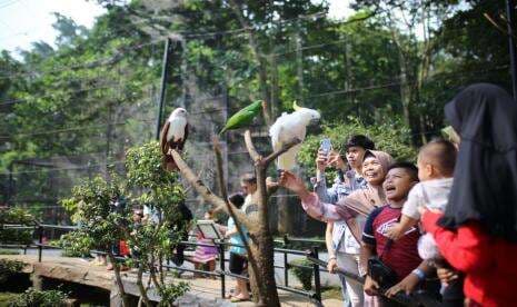 Yuk Mengenal Sejarah Kebun Binatang Bandung