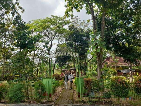 Taman Kupu-kupu Palembang Telantar, Kepala DPKP: Tak Ada Anggaran Taman Kupu-kupu Palembang Telantar, Kepala DPKP: Tak Ada Anggaran