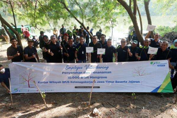 BPJamsostek Tanam 10.000 Bibit Magrove di Ekowisata Mangrove Wonorejo Surabaya