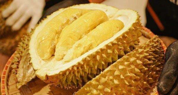 Dikenal Enak dan Lezat, Begini Cara Memilih Durian Musang King Asal Malaysia