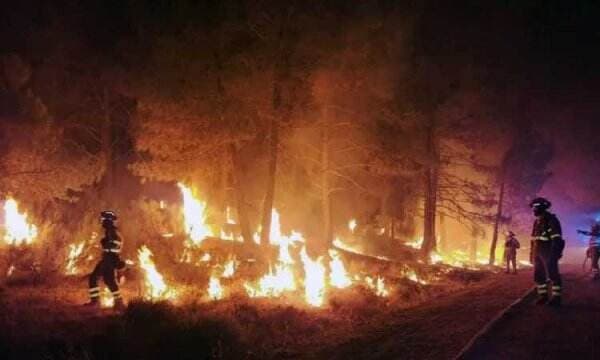 Gempar dan Menakutkan! Lebih dari 4 Ribu Hektare Lahan di Negara Ini Jadi Lautan Api