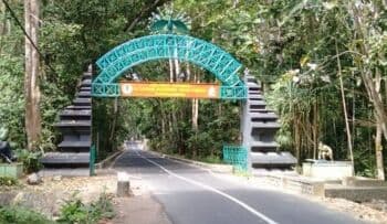 9 Hutan yang Dikenal Paling Angker di Indonesia, Berani Coba? 9 Hutan yang Dikenal Paling Angker di Indonesia, Berani Coba?