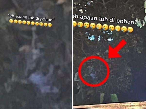 Serem! Lagi Seru Bakar-Bakaran di Villa, Malah Ada yang Mau Ikutan Serem! Lagi Seru Bakar-Bakaran di Villa, Malah Ada yang Mau Ikutan