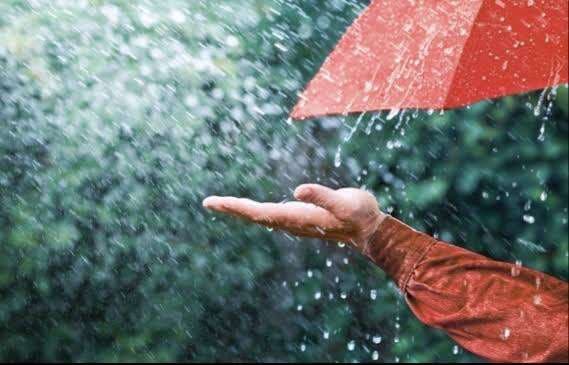 5 Kandungan Air Hujan yang Perlu Kamu Ketahui 5 Kandungan Air Hujan yang Perlu Kamu Ketahui