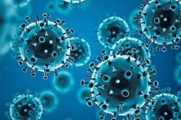 Virus Langya Ditemukan di China, Epidemiologi Pastikan Tidak Menular Antar Manusia