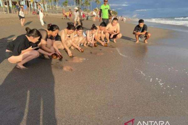 Sempat Polemik Agama, Atlas Beach Fest Bali Beraksi Mulia Sempat Polemik Agama, Atlas Beach Fest Bali Beraksi Mulia