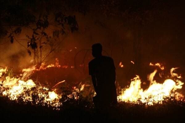 Sumsel di Kepung Titik Api, BMKG Peringatkan Waspada