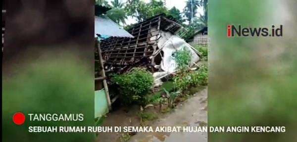 Video Rumah Warga Ambruk Akibat Hujan Angin di Lampung Video Rumah Warga Ambruk Akibat Hujan Angin di Lampung