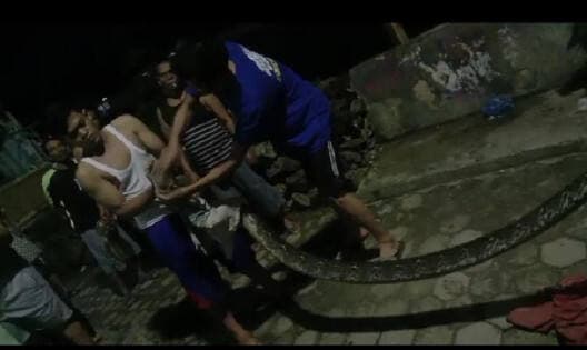 Sudah Empat Kali Tangkap Ular Besar, Warga Pasar Ambon Mulai Khawatir Sudah Empat Kali Tangkap Ular Besar, Warga Pasar Ambon Mulai Khawatir