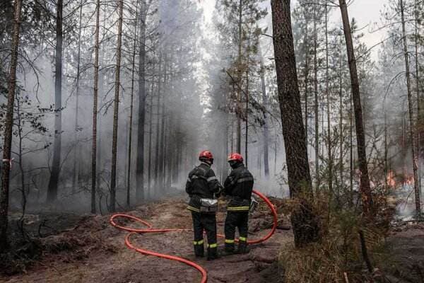 UE: Kebakaran Hutan Eropa 2022 Catatkan Rekor