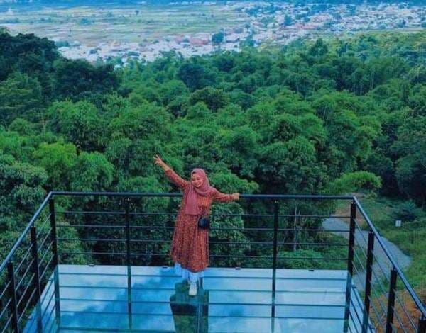 Indahnya Alam Sembalun dari Atas Jembatan Kaca Indahnya Alam Sembalun dari Atas Jembatan Kaca