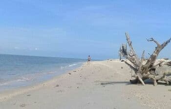 10 Pantai Terindah di Palembang, Suntuk Hilang Pikiran pun Tenang! 10 Pantai Terindah di Palembang, Suntuk Hilang Pikiran pun Tenang!