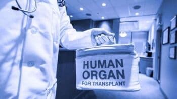 Wow! Segini Harga 7 Organ Tubuh Manusia jika Dijual di Pasar Gelap Wow! Segini Harga 7 Organ Tubuh Manusia jika Dijual di Pasar Gelap