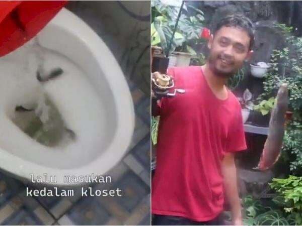 Viral Bibit Lele Dimasukkan Lewat WC Lalu Dipanen di Septic Tank, Netizen Auto Mual! Viral Bibit Lele Dimasukkan Lewat WC Lalu Dipanen di Septic Tank, Netizen Auto Mual!