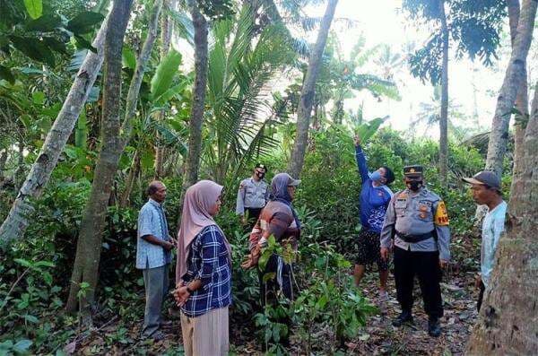 Cari Pakan Ternak, Kakek di Kulonprogo Tewas terjatuh dari Pohon Nangka Setinggi 10 Meter Cari Pakan Ternak, Kakek di Kulonprogo Tewas terjatuh dari Pohon Nangka Setinggi 10 Meter