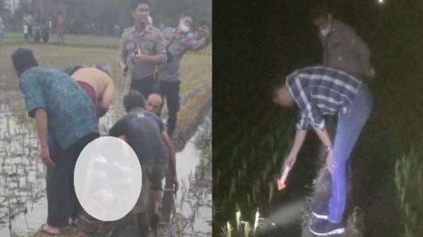 Cibeureum Tasikmalaya Geger, Pencari Belut Temukan Mayat Pria Terbenam di Sawah Cibeureum Tasikmalaya Geger, Pencari Belut Temukan Mayat Pria Terbenam di Sawah