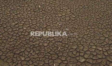 Infografis Kekeringan Terburuk Eropa Infografis Kekeringan Terburuk Eropa