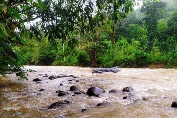 Kondisi Terkini Sungai Amandit Setelah HSS Hujan Seharian