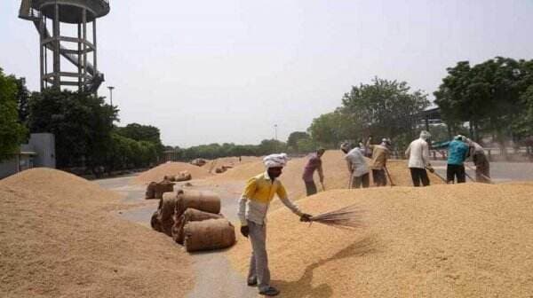 India Membatasi Ekspor Beras karena Harga Melonjak